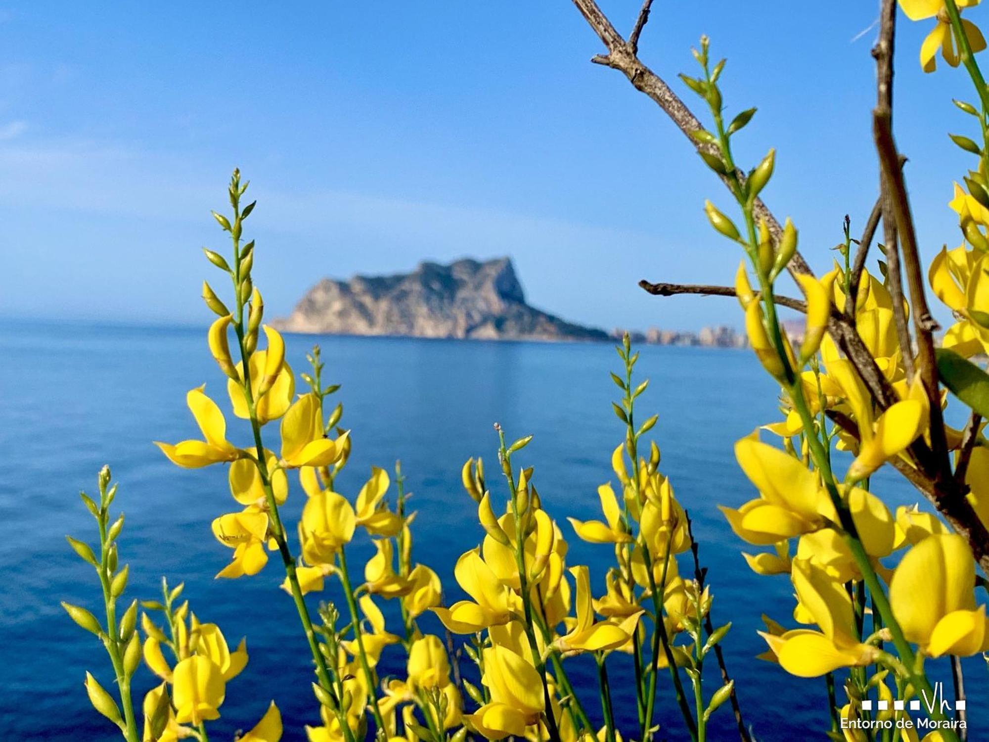 Vh Costablanca - Apartamento Riviera Moraira Luaran gambar